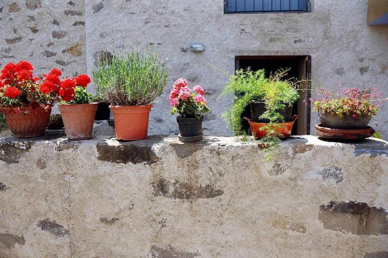 Villa Rectoria De Castellar à La Vall de Bianya Extérieur photo